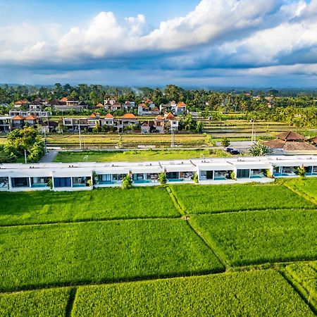 Anyuta Rai Villa Ubud Zewnętrze zdjęcie