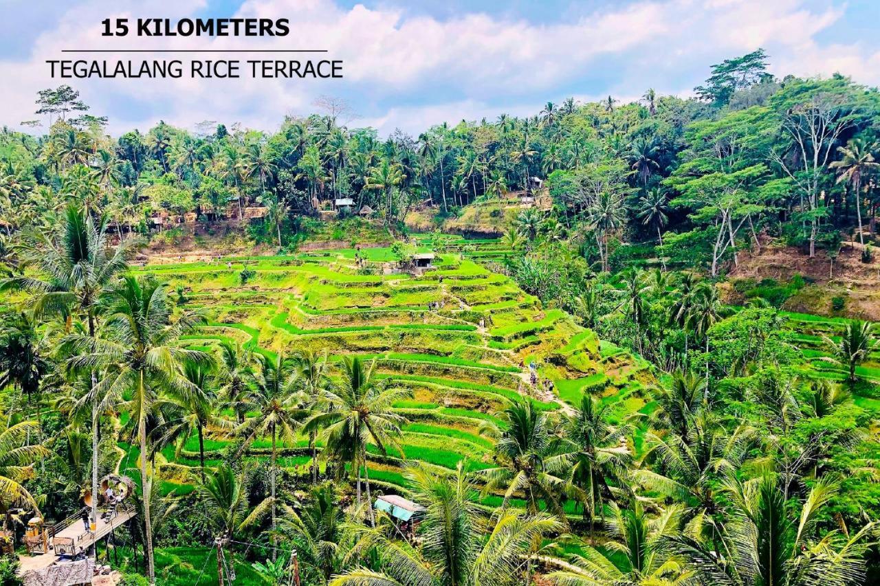 Anyuta Rai Villa Ubud Zewnętrze zdjęcie