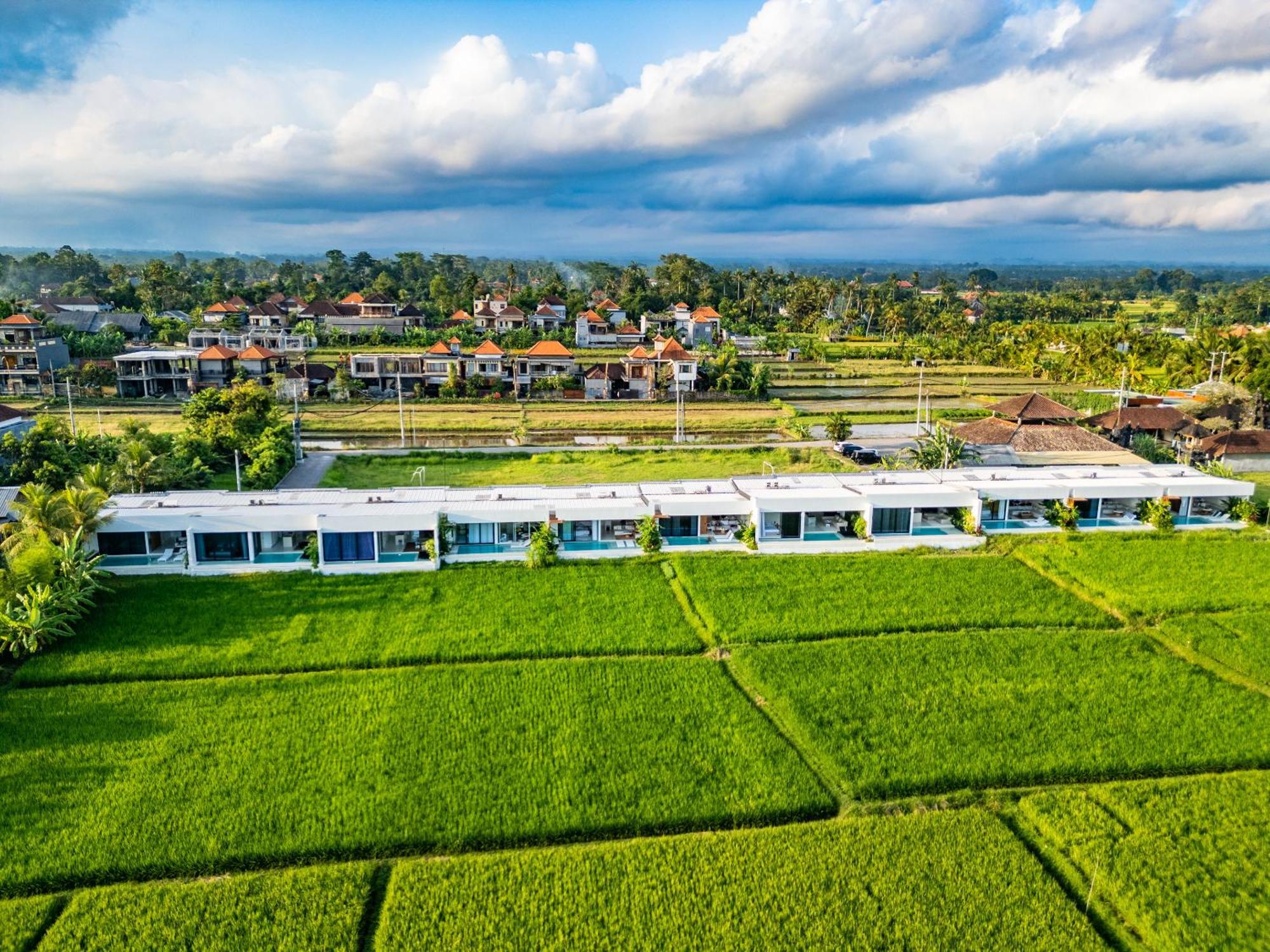 Anyuta Rai Villa Ubud Zewnętrze zdjęcie