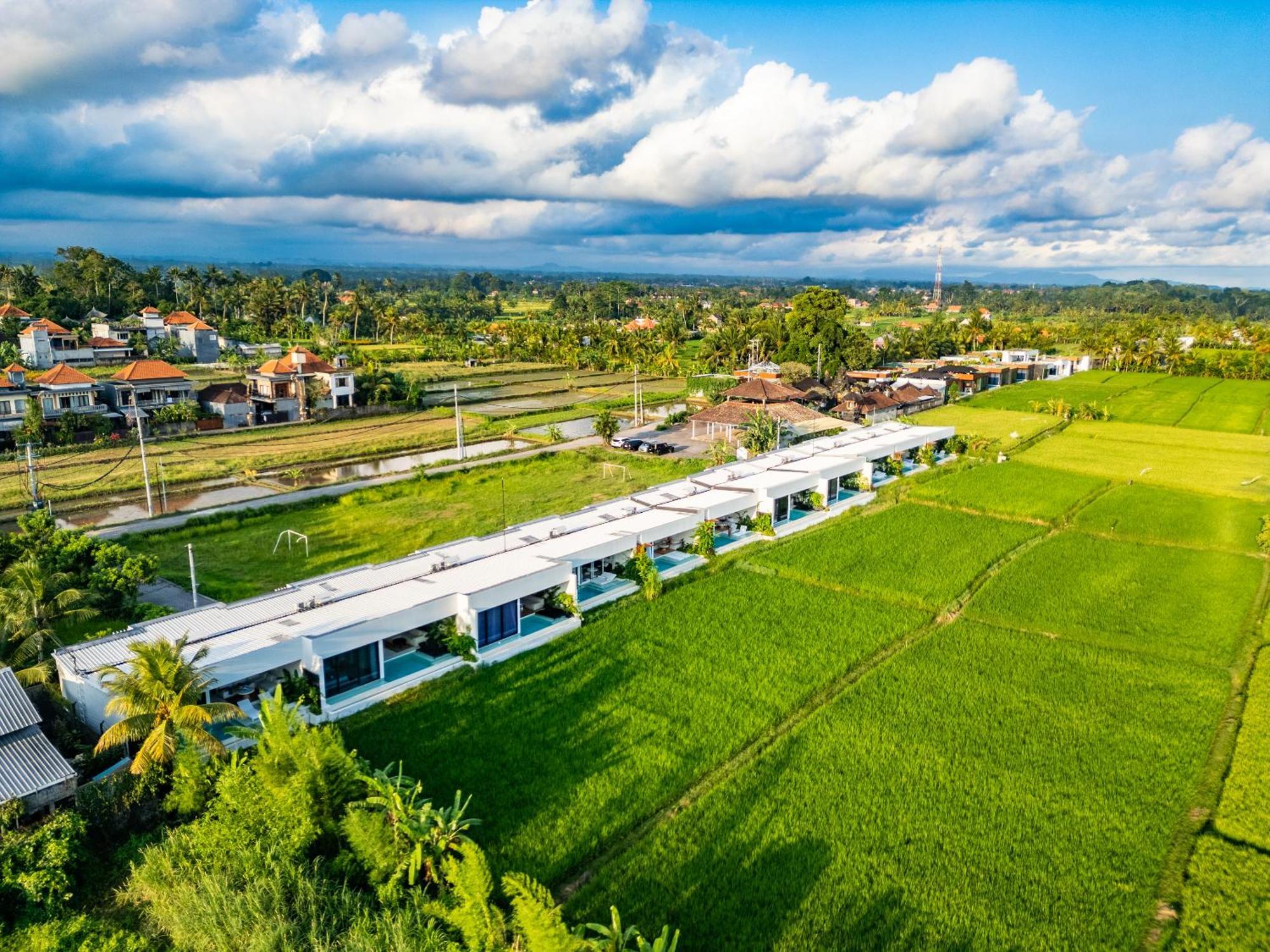 Anyuta Rai Villa Ubud Zewnętrze zdjęcie
